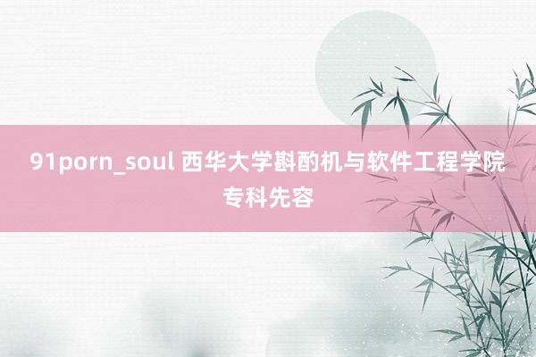 91porn_soul 西华大学斟酌机与软件工程学院专科先容