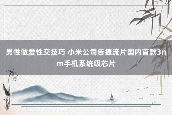 男性做爱性交技巧 小米公司告捷流片国内首款3nm手机系统级芯片