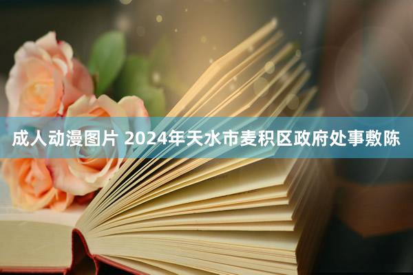 成人动漫图片 2024年天水市麦积区政府处事敷陈