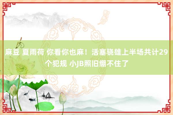 麻豆 夏雨荷 你看你也麻！活塞骁雄上半场共计29个犯规 小JB照旧绷不住了